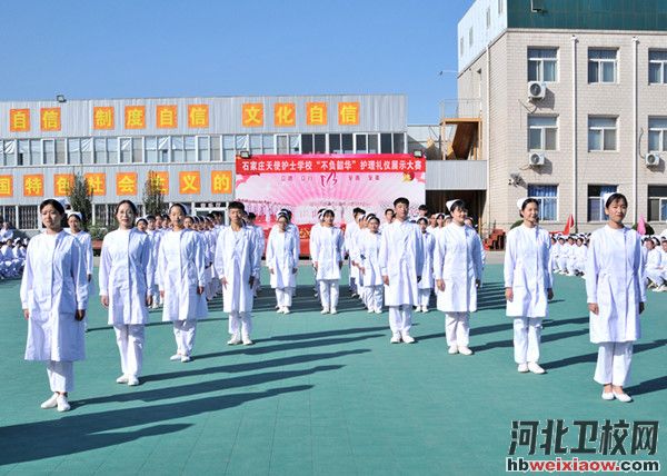 石家莊天使護士學(xué)校2025年招生簡章